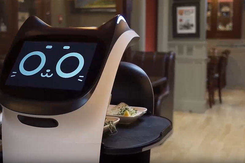 BellaBot доставляет блюда